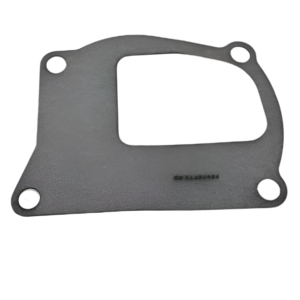 FPT     PUMP GASKET