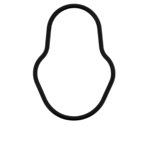 FPT Industrial Genuine Fuel Pump Seal Gasket O-Ring