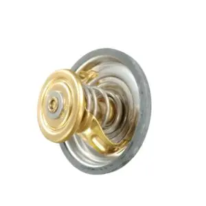 STEYR MOTORS THERMOSTAT & SEAL GASKET RING COMPLETE 2173621-1