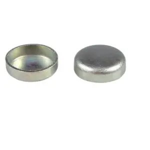 FPT   ENGINE  PLUG