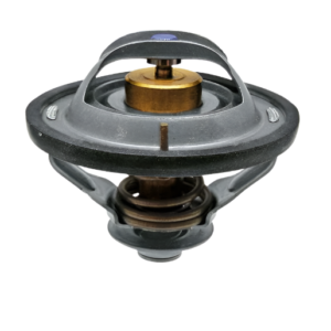 THERMOSTAT FPT