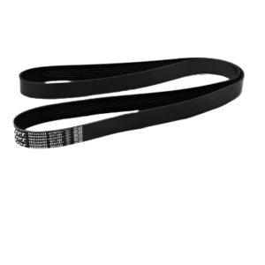 FPT   DRIVE V-BELT NEW