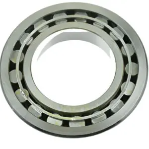 BEARING  DANA SPICER  D225778 / 225778