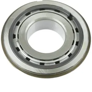 DANA SPICER BEARING    D239948 / 239948
