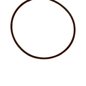 HYDRAULIC FILTER O-RING  FPT