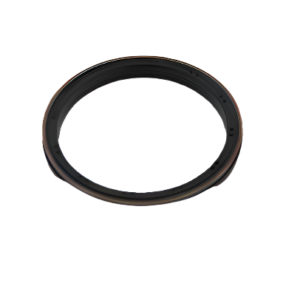 REAR MAIN TRANSMISSION SEAL  FPT