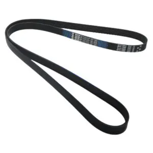 Steyr Motors  Poly V-Belt (1660mm) –   Part, 2204061-0