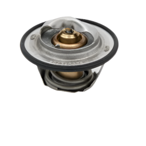 FPT    THERMOSTAT