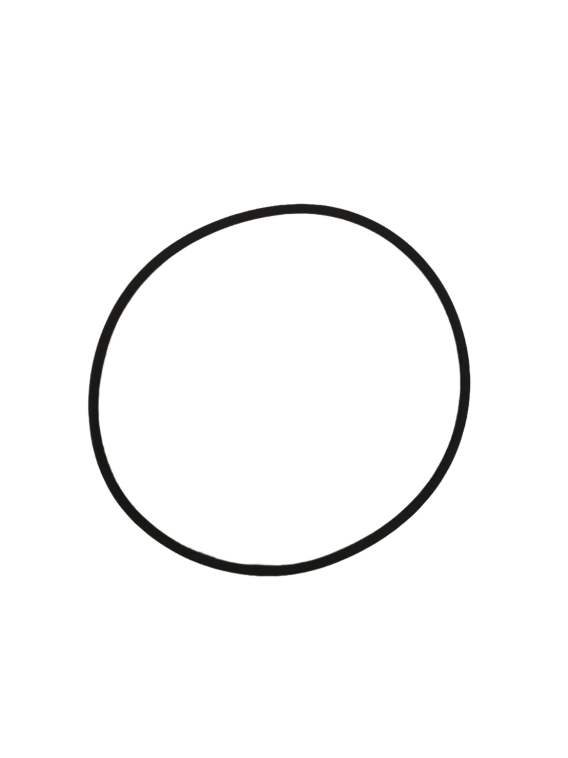 O-RING GENUINE DANA SPICER PARTS D738.0710201 / 738.07.102.01