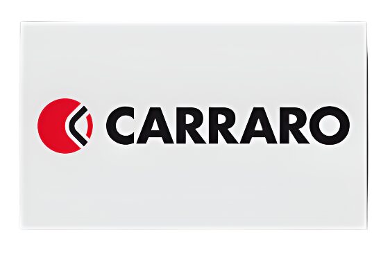 4WD Axle Differential ings 109972 Carraro - Image 5