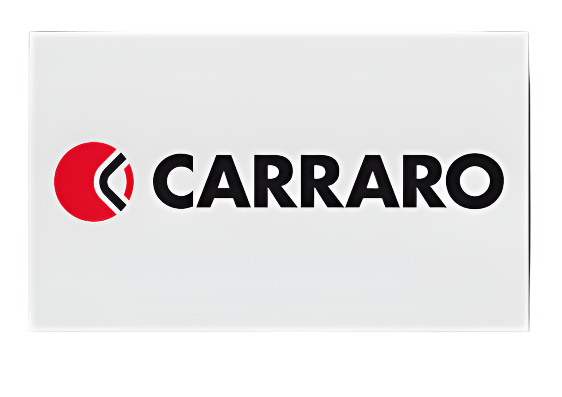 BUSH 4WD Axle Differential Bushings 109972 Carraro Parts - Image 5