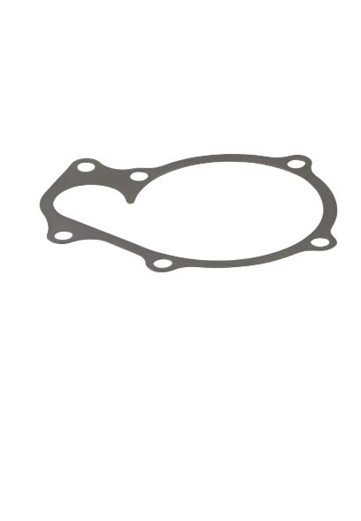 WATER PUMP GASKET GENUINE PARTS 1C01073430