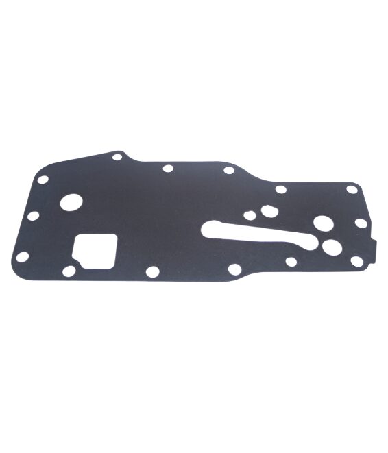 Genuine FPT-Industrial Filter Head Gasket