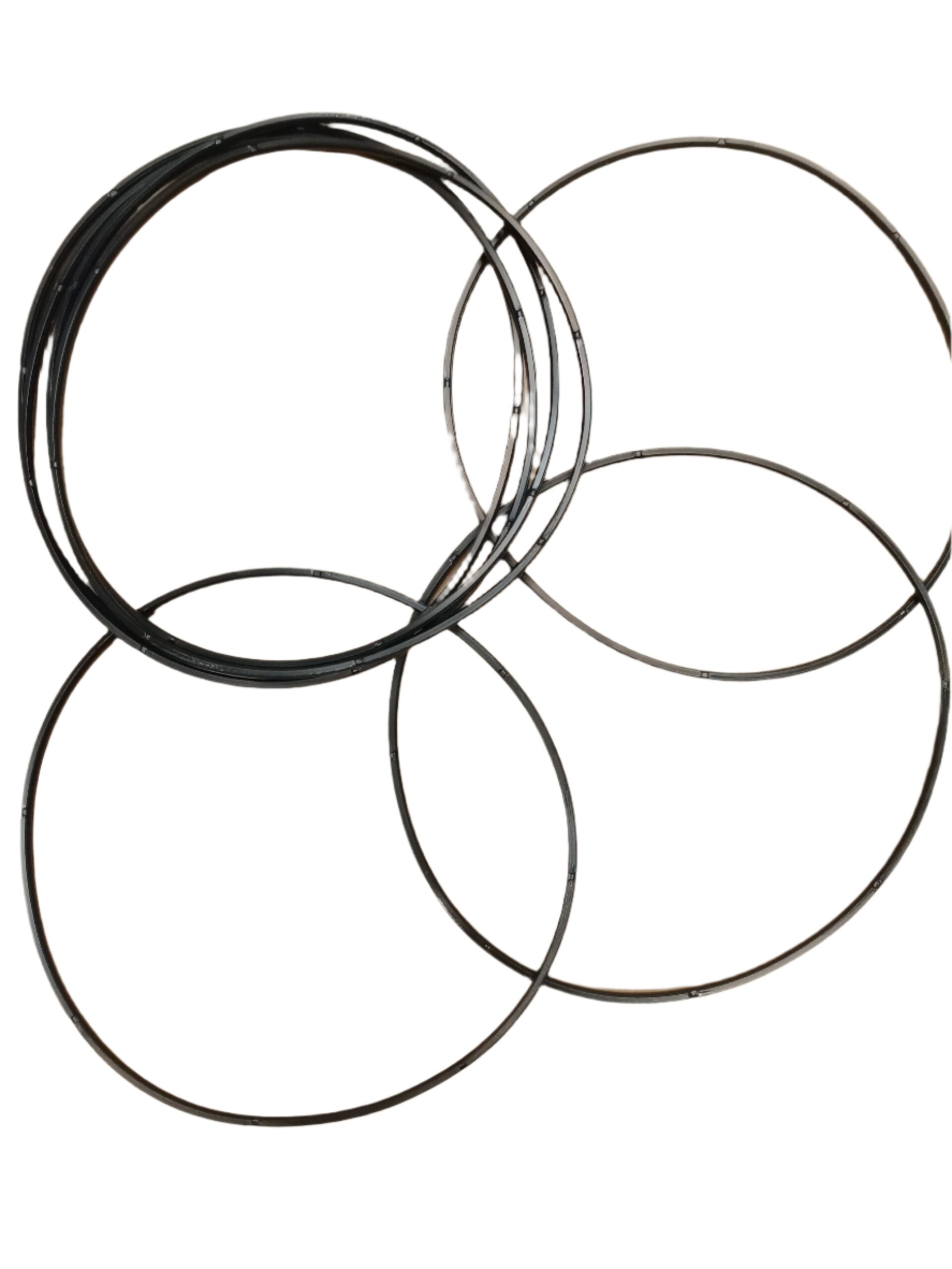 PISTON SEAL GENUINE DANA SPICER PARTS D123.0702101 / 123.07.021.01